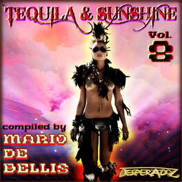 Album cover of Tequila & Sunshine, Vol.8