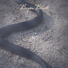 Album cover of Bayou Black