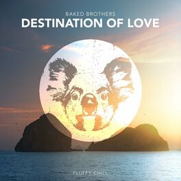 Album cover of Destination Of Love