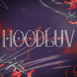 Album cover of Hood Luv