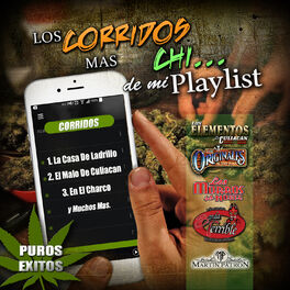 Album cover of Los Corridos Mas Chi...De Mi Playlist Puros Exitos