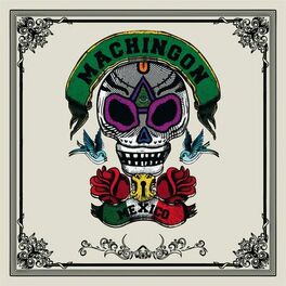 Album cover of Machingón