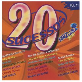 Album cover of 20 Sucessos SomZoom Sat, Vol. 11