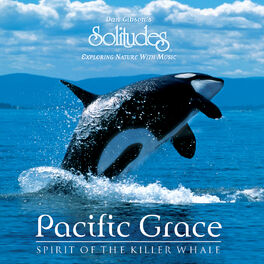 Album cover of Pacific Grace Spirit of the Killer Whale