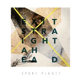 Album cover of Exit Straight Ahead