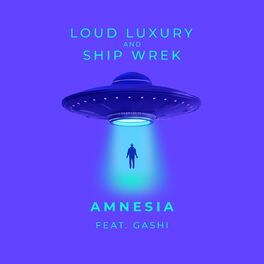 Album cover of Amnesia (feat. GASHI)