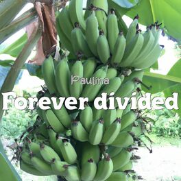 Album cover of Forever Divided