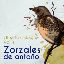 Album cover of Zorzales de Antaño / Alberto Echague Vol. 1