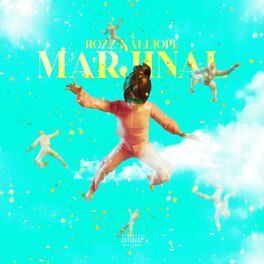 Album cover of Marjinal