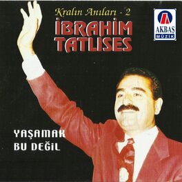 Album cover of Yaşamak bu değil