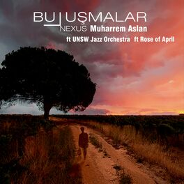 Album cover of Buluşmalar (Nexus)