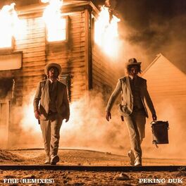 Album cover of Fire (Remixes)