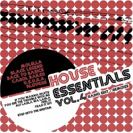 Album cover of House Essentials, Vol. 4 (Radio Edit + Remixes)