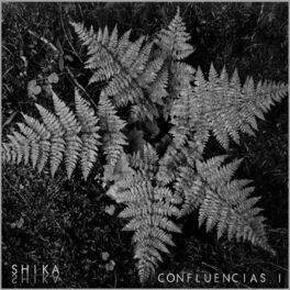Album cover of Confluencias I: Selva