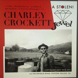 Album cover of A Stolen Jewel