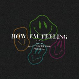 Album cover of How I'm Feeling (feat. BART XL, L U N A & Johnny (From the Burbs))