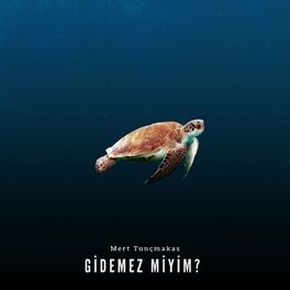 Album cover of Gidemez Miyim
