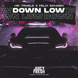 Album cover of Down Low