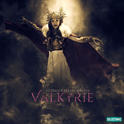 Various Artists - Valkyrie: Ultimate Breaks & Beats: lyrics and