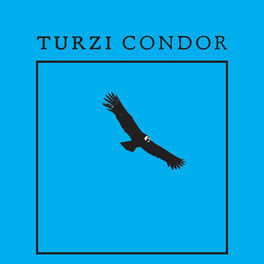 Album picture of Condor - EP