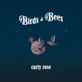Album cover of birds & bees