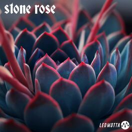 Album cover of Stone Rose