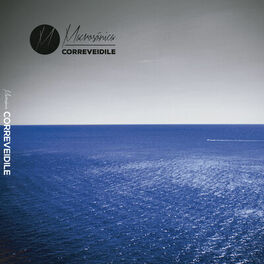 Album cover of Correveidile