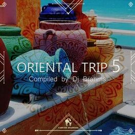 Album cover of Oriental Trip, Vol. 5 (Compiled by Dj Brahms)