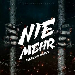 Album cover of NIE MEHR