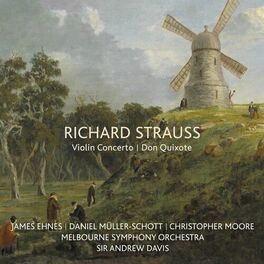 Album cover of Richard Strauss: Violin Concerto / Don Quixote