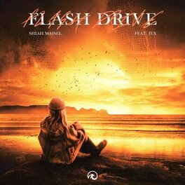 Album cover of Flash Drive