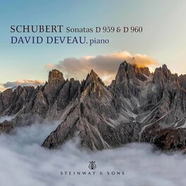 Album picture of Schubert: Piano Sonatas D. 959 & D. 960
