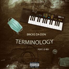 Album cover of Terminology (feat. D-Bo)
