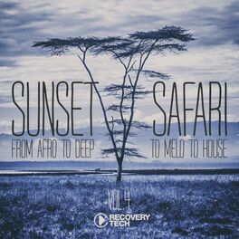 Album cover of Sunset Safari, Vol. 4