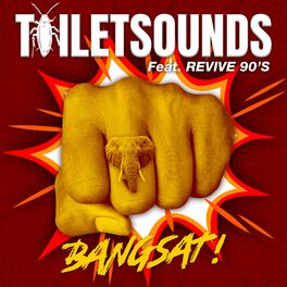 Album cover of Bangsat