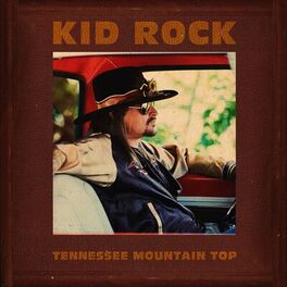 Album cover of Tennessee Mountain Top (Single Version)