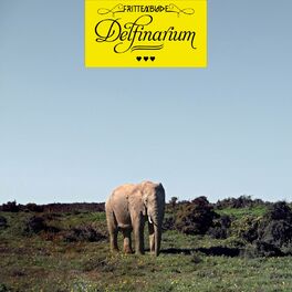 Album cover of Delfinarium