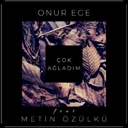 Album cover of Çok Ağladım