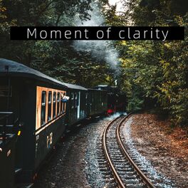 Album cover of Moment of clarity
