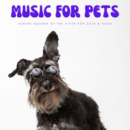 Album cover of Music For Pets: Serene Sounds Of The River For Cats & Dogs