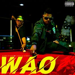 Album cover of Wao