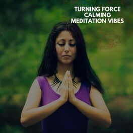 Album cover of Turning Force Calming Meditation Vibes