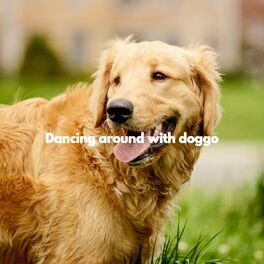 Album cover of Dancing around with doggo