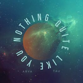 Album cover of Nothing Quite Like You (feat. Tau)