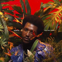 Album cover of Vem Bem Vindo