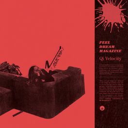 Album cover of Qi Velocity