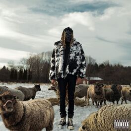 Album cover of 3