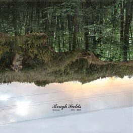 Album cover of Rough Fields Remixes (2011 - 2015)
