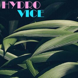 Album cover of Hydro Vice