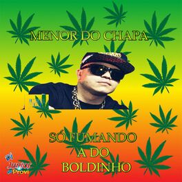 Album cover of SÓ FUMANDO A DO BOLDINHO